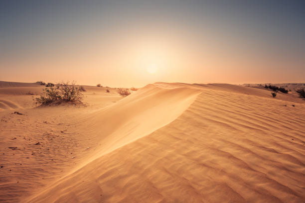 istock Yellow sands of desert 944562036