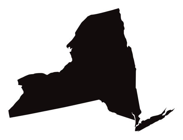 ilustraciones, imágenes clip art, dibujos animados e iconos de stock de mapa detallado del estado de nueva york - new york