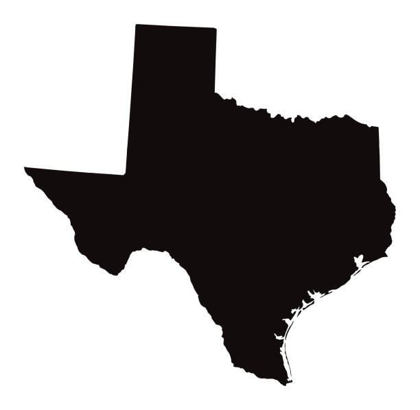 illustrazioni stock, clip art, cartoni animati e icone di tendenza di mappa dettagliata dello stato del texas - region