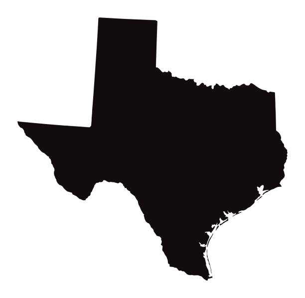 texas devlet detaylı haritası - teksas illüstrasyonlar stock illustrations