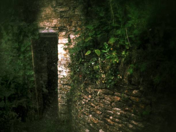 istock Spooky open door to an old stone outbuilding 944569098