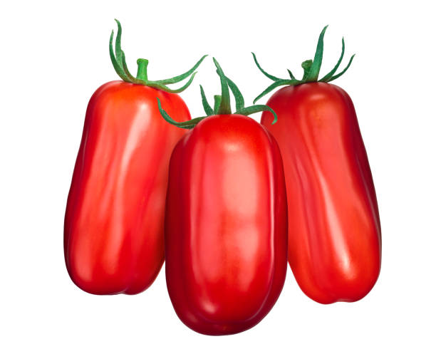 scatolone s.marzano 토마토 - san marzano tomato 뉴스 사진 이미지