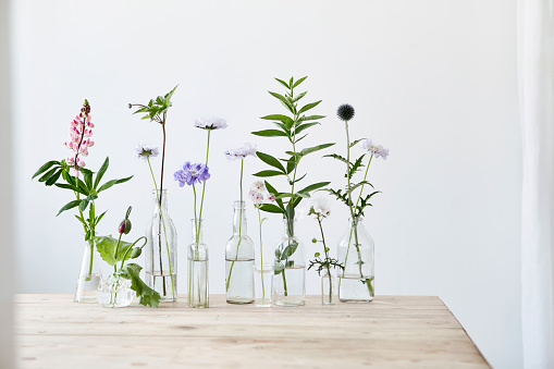 Flower, Vase, Flower Arrangement, Bouquet, Still Life