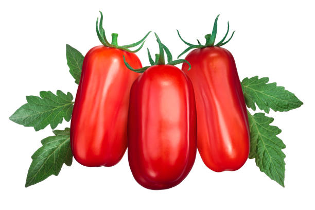 scatolone s.marzano トマトの葉と共に - san marzano tomato ストックフォトと画像