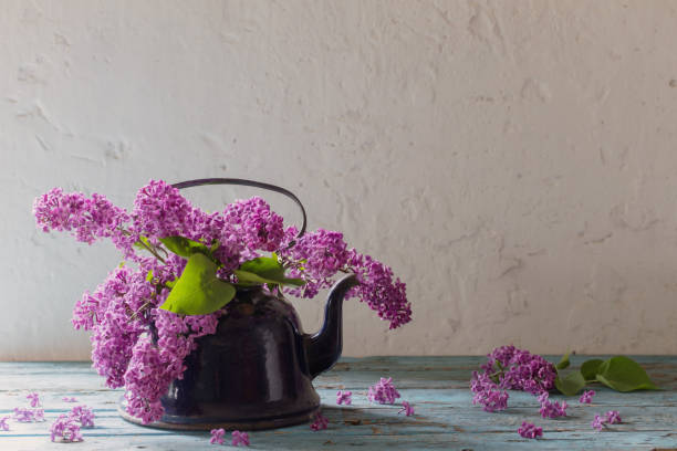 istock lilac flowers in  metal kettle on white old background 944582168