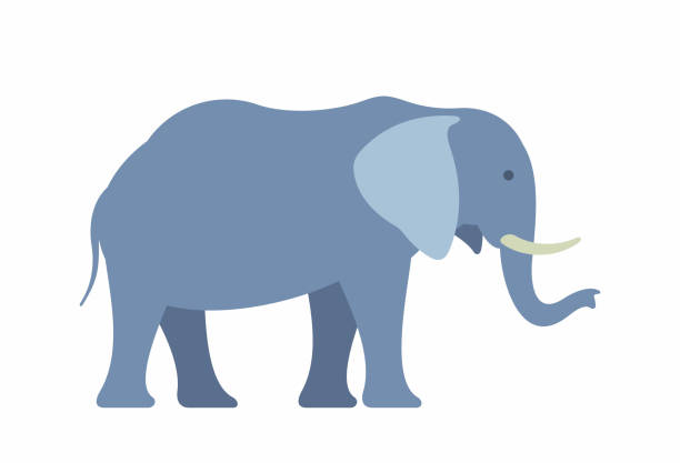 Elephant Elephant. Illustration on white background tusk stock illustrations