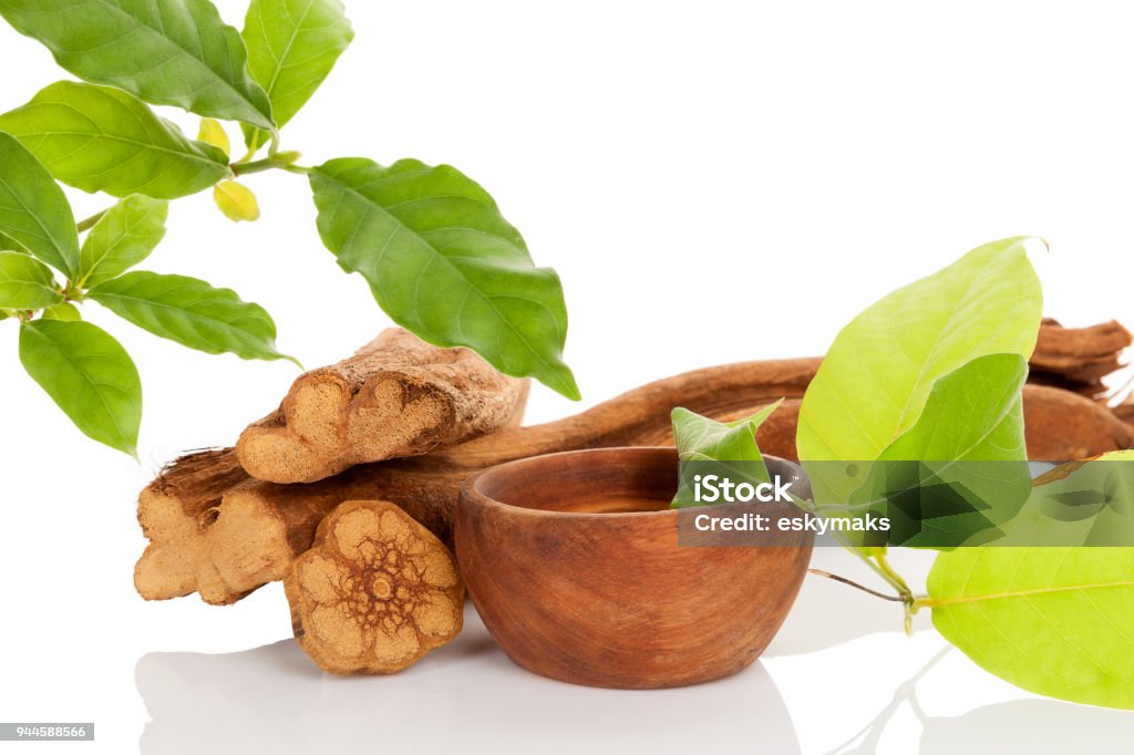 Ayahuasca medicine. Ayahuasca medicine. Banisteriopsis caapi wood, psychotria leaves and ayahuasca brew in wooden bowl isolated on white background. Tradtional plant medicine. Plant Stock Photo