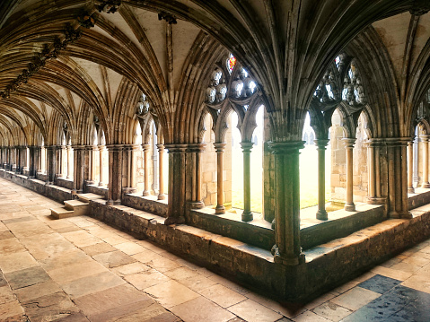 A series of photos capturing the sunlight in the cloisters of Norwich Anglican Cathedral.