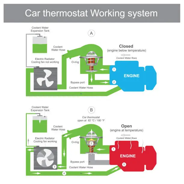 Vector illustration of Car thermostat Working system