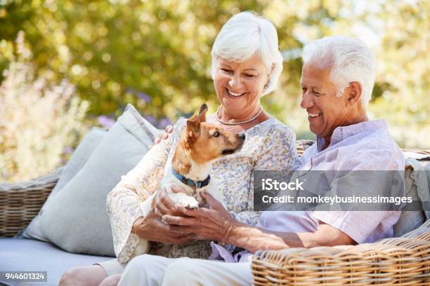 Feliz Pareja Senior Sentada Con Un Perro Del Animal Doméstico En El Jardín Foto de stock y más banco de imágenes de Perro