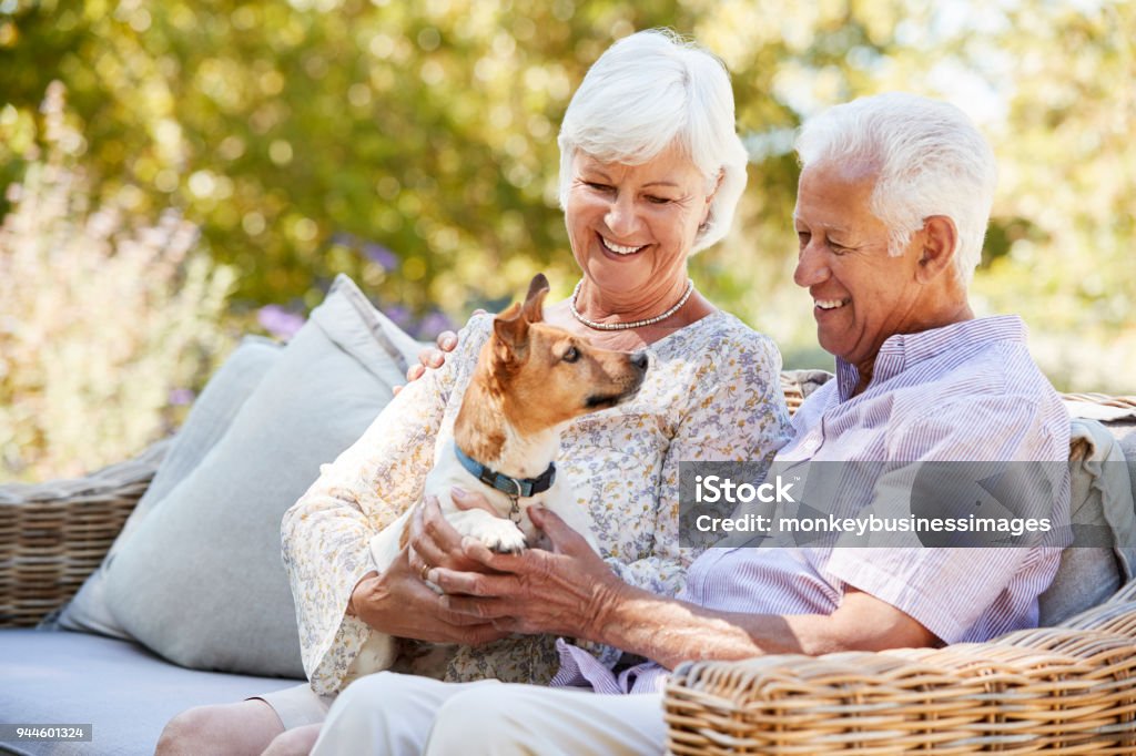 Happy senior couple sitting with a pet dog in the garden Dog Stock Photo