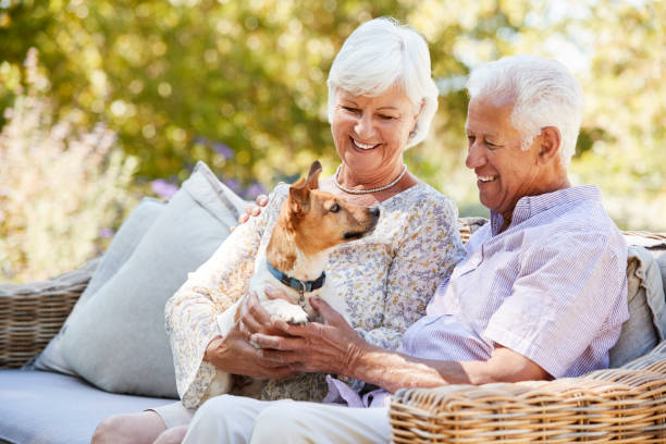 Happy senior couple sitting with a pet dog in the garden Happy senior couple sitting with a pet dog in the garden garden accessories stock pictures, royalty-free photos & images