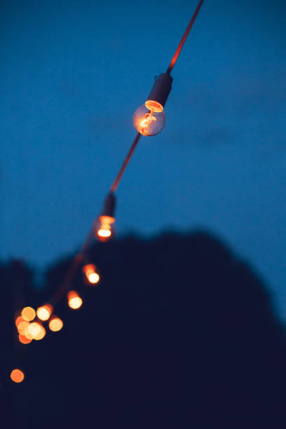 istock Decorative outdoor string lights hanging  in the garden at night 944606878