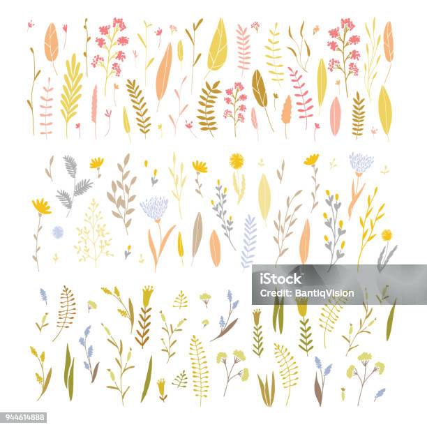 Vector Floral Set Stock Illustration - Download Image Now - Autumn, Drawing - Art Product, Leaf