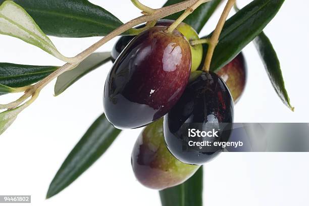 Olives Zweig Stockfoto und mehr Bilder von Antioxidationsmittel - Antioxidationsmittel, Ast - Pflanzenbestandteil, Farbbild