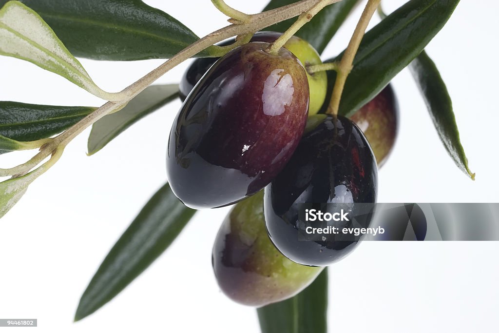 Olive Ramoscello - Foto stock royalty-free di Alimentazione sana