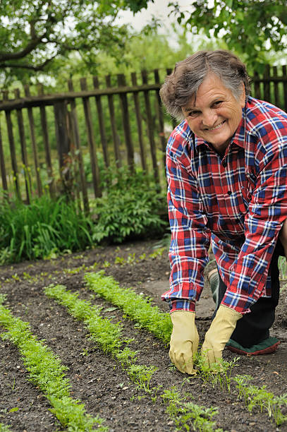 istock Senior woman gardening 94461916