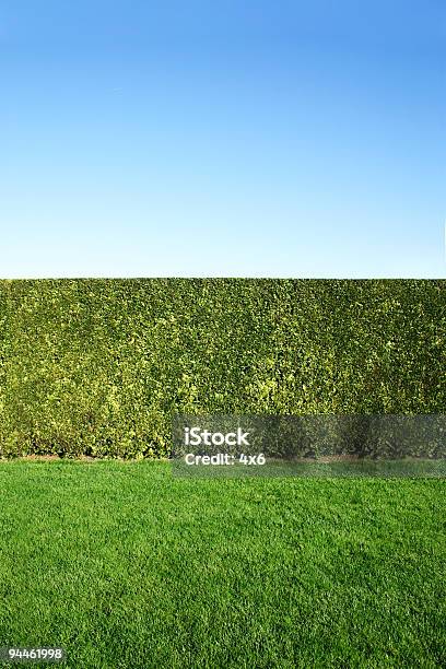 Jardim - Fotografias de stock e mais imagens de Sebe - Sebe, Jardim Particular, Relvado - Terra Cultivada