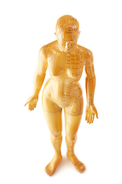 agopuntura modello femminile isolato su bianco - acupuncture shiatsu reflexology meridians foto e immagini stock