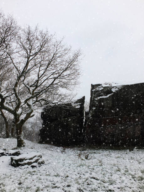 istock scene with winter snow falling on a single tree and large rocky outcrop or boulder with path in west yorkshire england 944623718