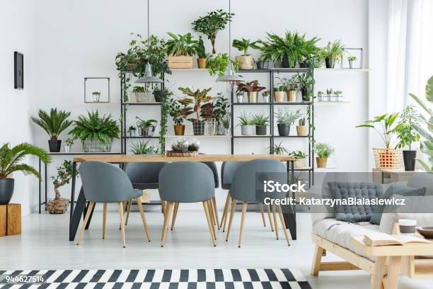 Grey Open Space Interior Stock Photo - Download Image Now - Plant, Domestic Life, Residential Building