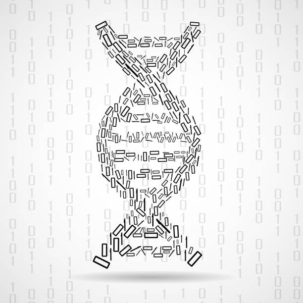 Trinary Helix Code 580+ Binary Code Double Helix Stock Illustrations, Royalty-Free Vector ...