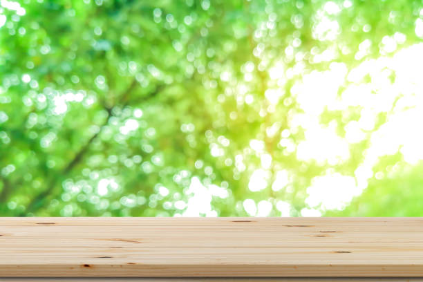 istock Wood Shelf Table with garden summer bokeh background 944634954