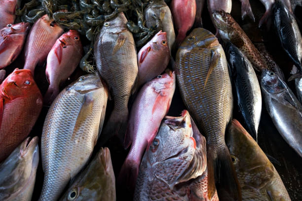 istock Fresh fish in the market close up. 944635042