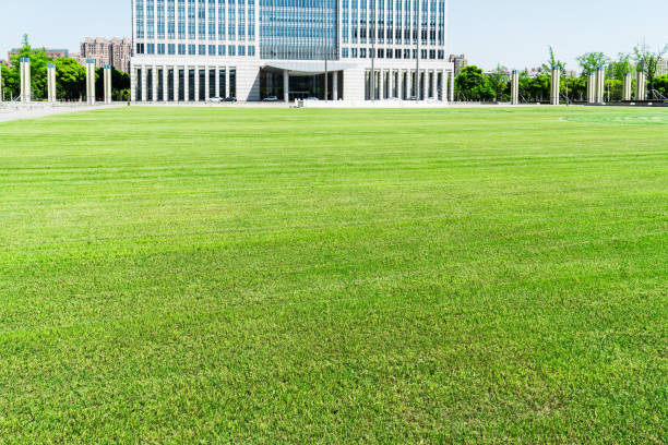istock Urban greening and modern architecture. 944638672