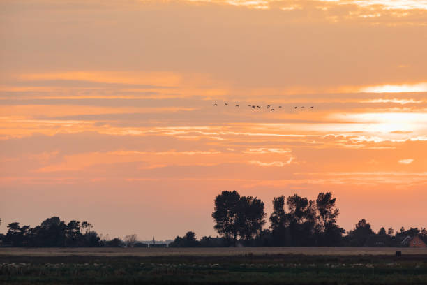 istock Landscape in sunset with trees an horizon 944646126