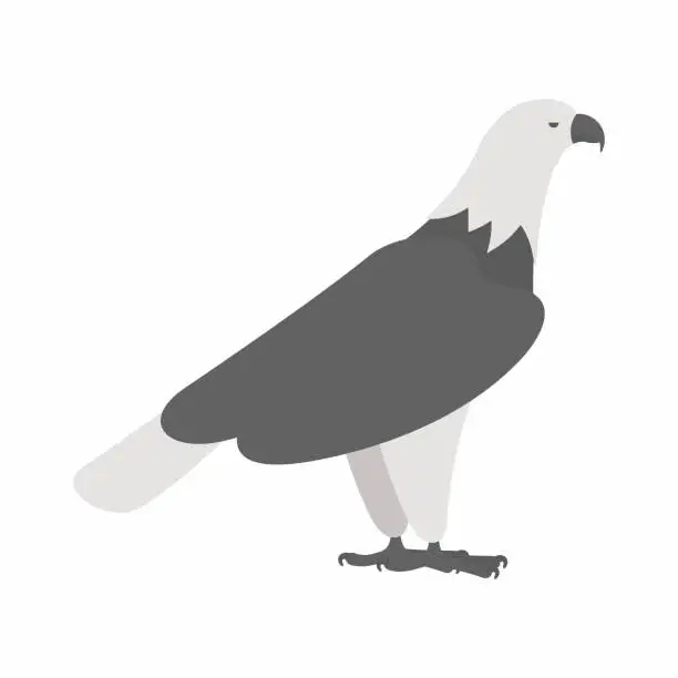 Vector illustration of Eagle