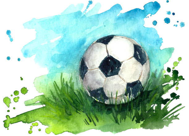 football - soccer soccer field grass american football stock-grafiken, -clipart, -cartoons und -symbole