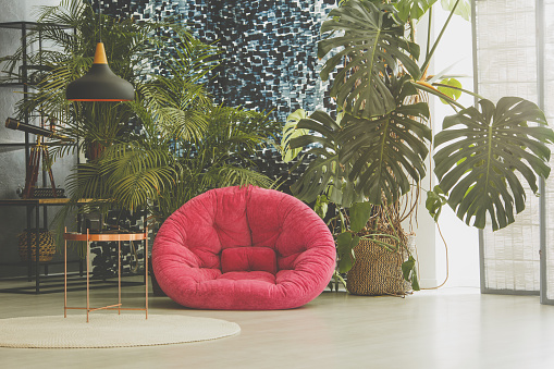 Room with pink plush armchair, plants and vintage furniture