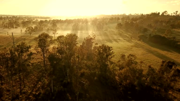 Australia outback