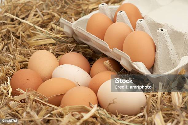 Directly From The Farm Stock Photo - Download Image Now - Agriculture, Animal, Animal Egg