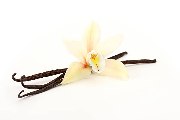 orchid con vainilla - vainilla fotografías e imágenes de stock