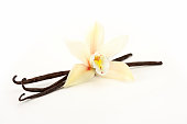 orchid with vanilla