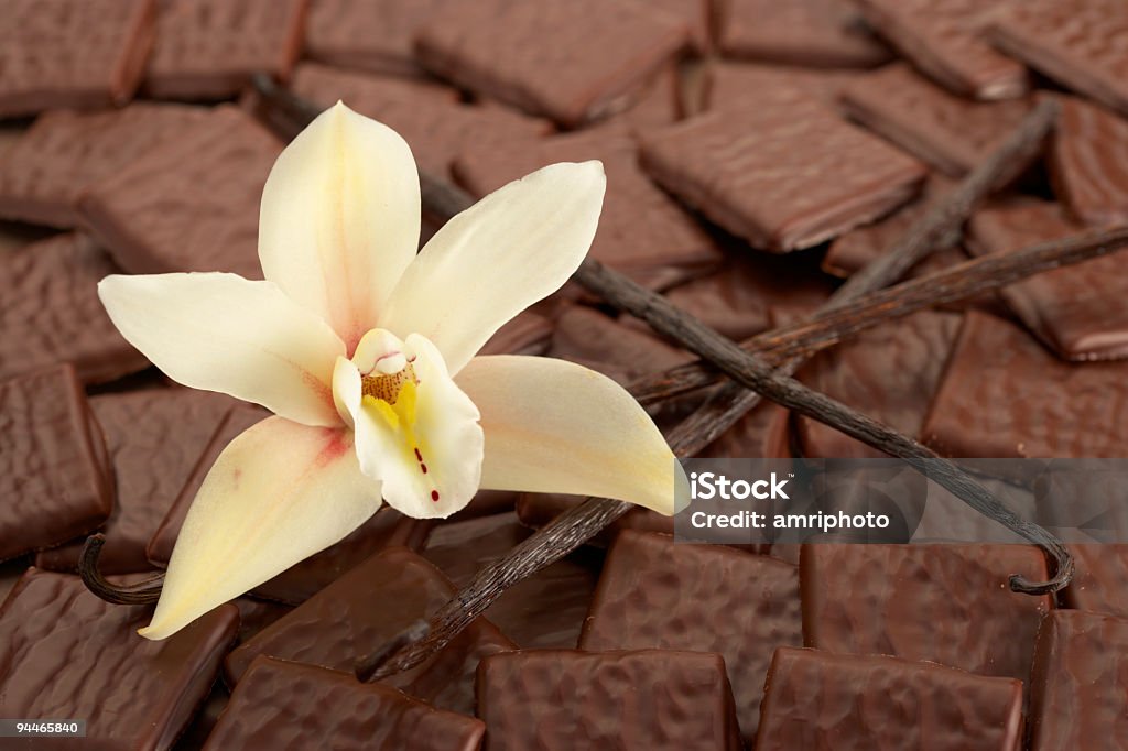 Ваниль и шоколад - Стоковые фото Ванилин - специя роялти-фри