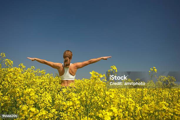 Ćwiczyć W Pole Rzepaku - zdjęcia stockowe i więcej obrazów Canola - Canola, Dorosły, Fotografika