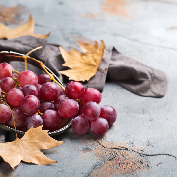 istock Harvest fall autumn concept. Ripe juicy red grapes 944663376