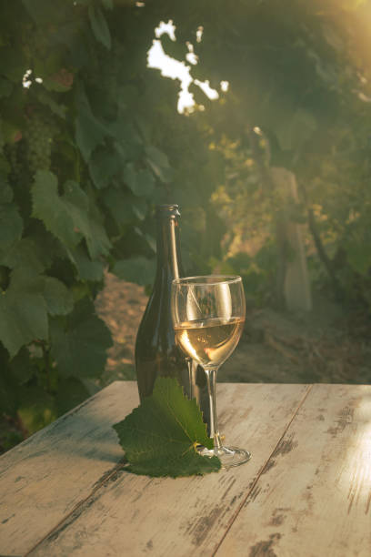 istock glass with white wine in vineyard on old table 944676440
