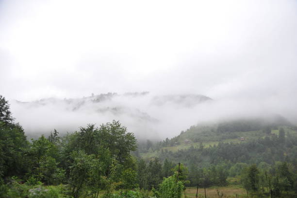 istock fog on top of mountains 944677872