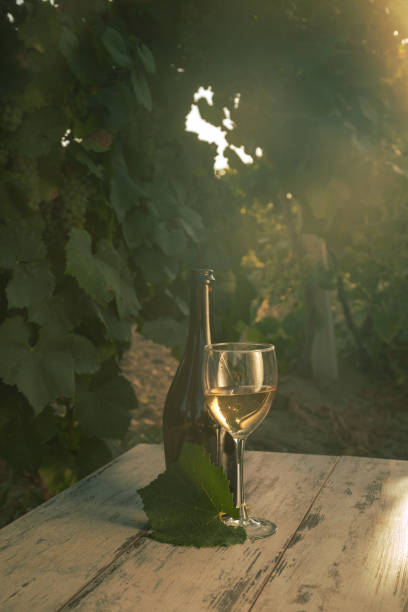 istock glass with white wine in vineyard on old table 944678086