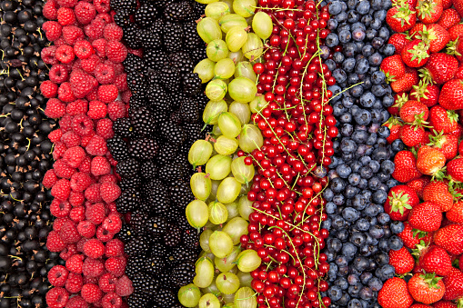 plenty of different fresh berries in a row