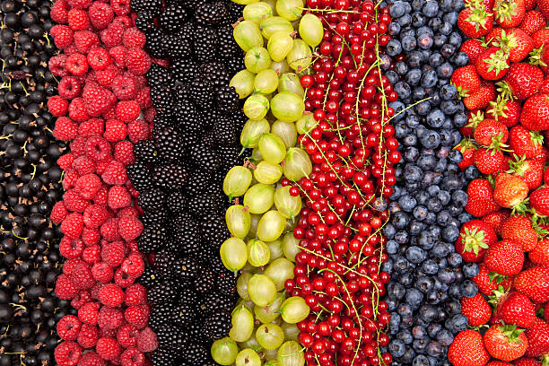 wiele różnych świeże jagody w rzędzie - currant black berry fruit fruit zdjęcia i obrazy z banku zdjęć
