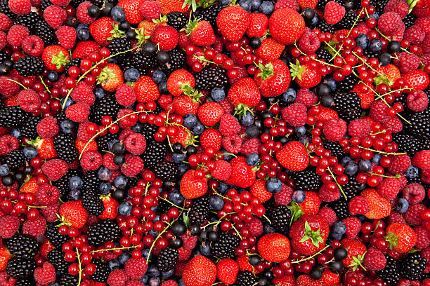 яркий ягодный микс - currant gooseberry red currant red стоковые фото и изображения