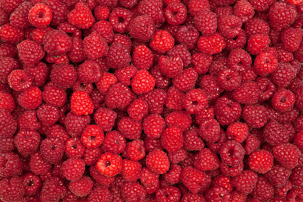 Fresh raspberries close-up