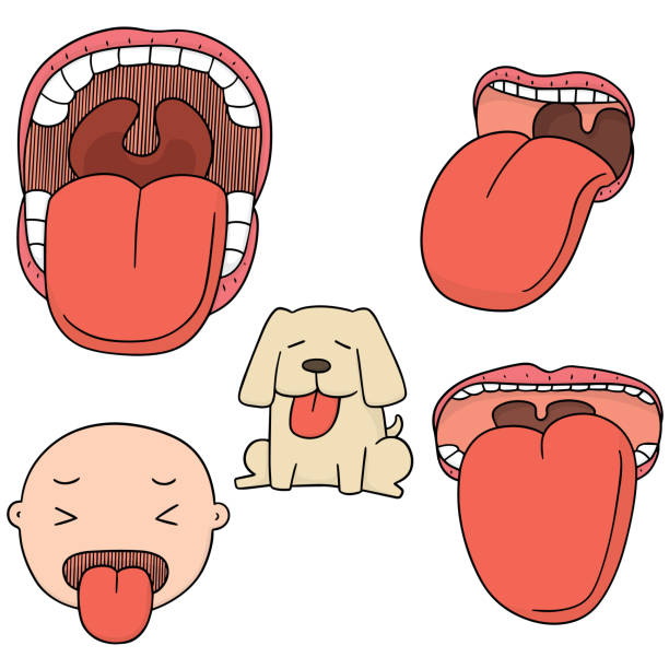 illustrazioni stock, clip art, cartoni animati e icone di tendenza di bocca e lingua - ugola