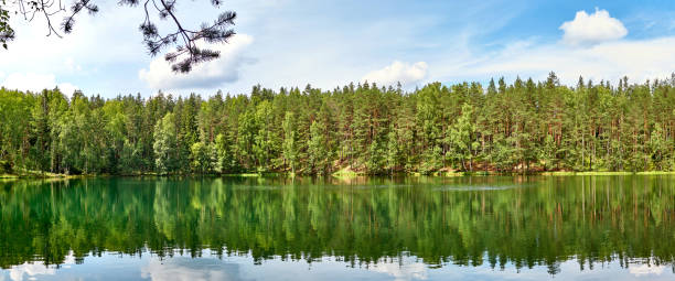 istock Silent lake near green forest. 944689944