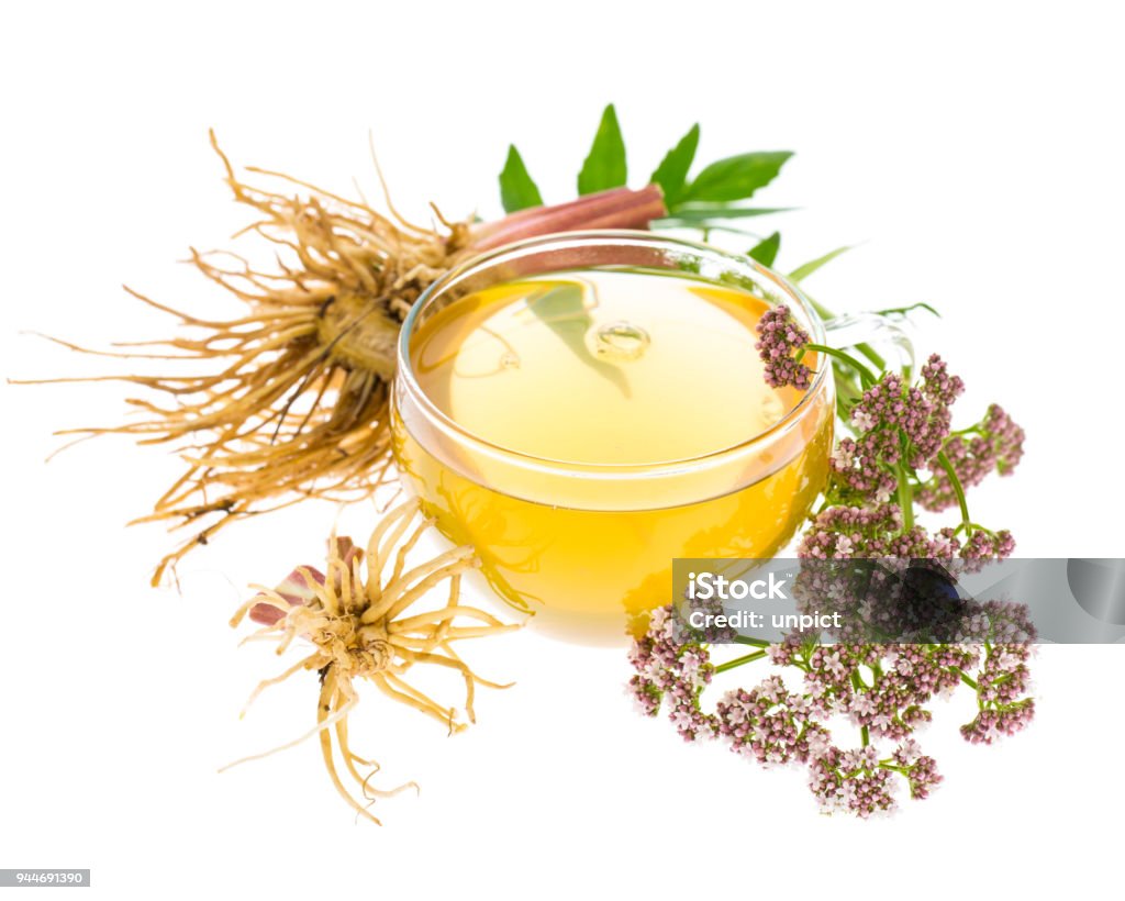 Heilpflanzen: Baldrian (Valeriana Officinalis) Tee mit Wurzeln, Blätter und Blüten - Lizenzfrei Baldrian Stock-Foto